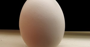 La clara de huevo