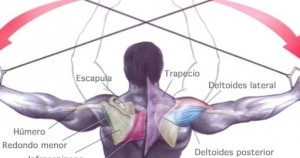 Cómo fortalecer los hombros
